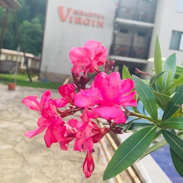 Family Hotel Virgin Ribaritsa Buitenkant foto